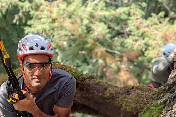 Sunset Tree Climb at Silver Falls State Park - Hiking Before Tree Climbing