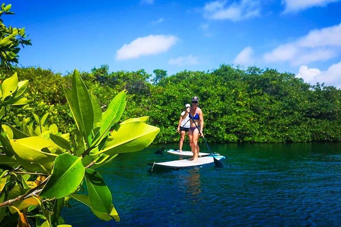 SUP Cenote Tour- Paddleboard & Snorkel Adventure in Tulum - Location Details