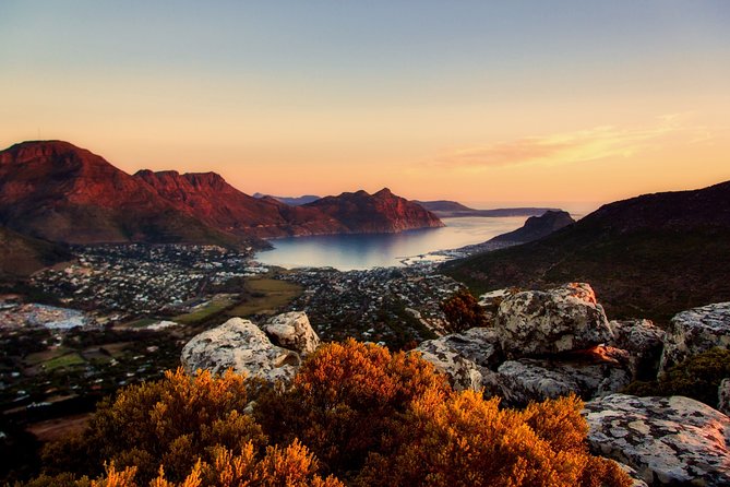 Surfing Muizenberg Private Full Day Tour With Cape of Good Hope - Pricing and Inclusions