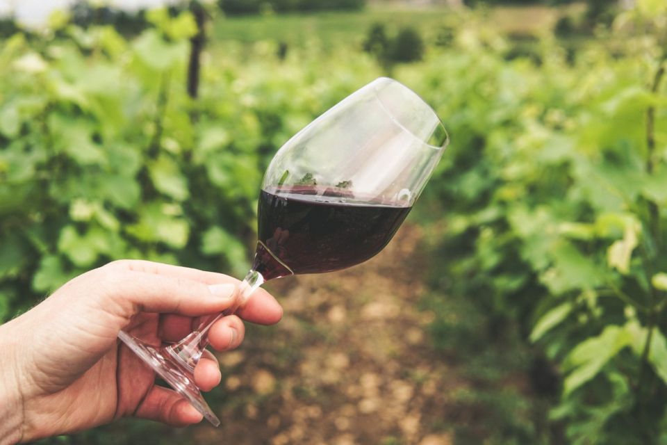 Sussex: Small-Group Wine Tours - Booking Information