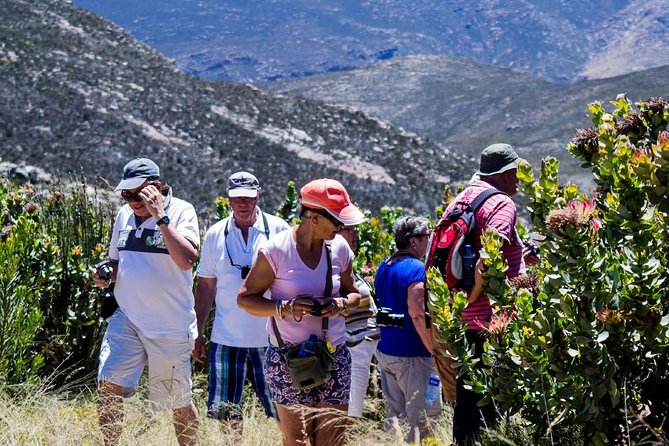 Swartberg Pass Tour Including Traditional Karoo Lunch - Tour Highlights and Activities