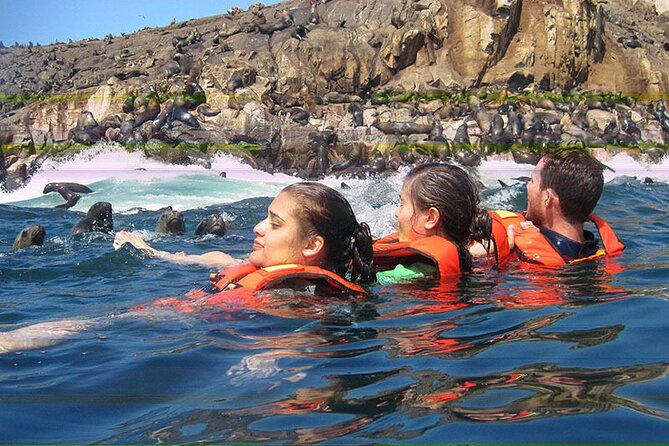 Swimming With Sea Lions in Islas Palomino Lima - Reviews and Ratings