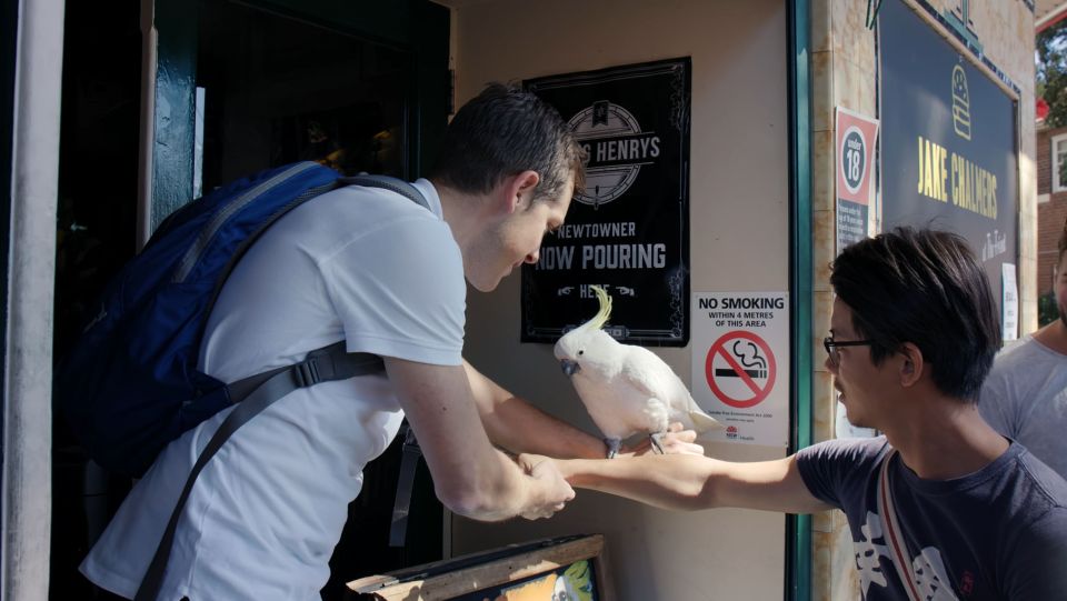 Sydney: Guided Walking Tour With Aussie Snacks and Drinks - Activity Description