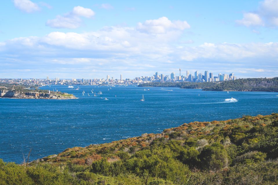 Sydney: Private Half or Full-Day Sightseeing Tour - Experience Highlights