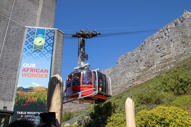 Table Mountain, Boulders Penguins & Cape Point Private Tour From Cape Town - Inclusions