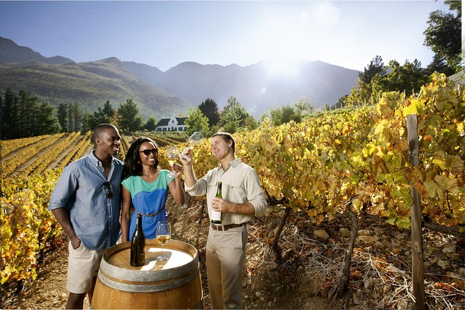 Table Mountain, Kirstenbosch and Constantia Winelands Full Day Private Tour - Customer Reviews and Ratings