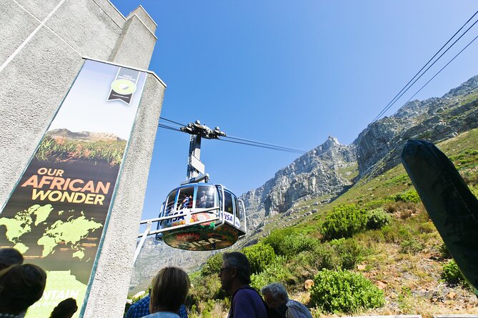 Table Mountain, Penguins & Cape Point Small Group Tour From Cape Town - Reviews and Client Feedback