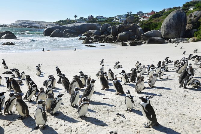 Table Mountain, Penguins Colony and Cape of Good Hope Small Group Shared Tour - Hotel Pickup Information