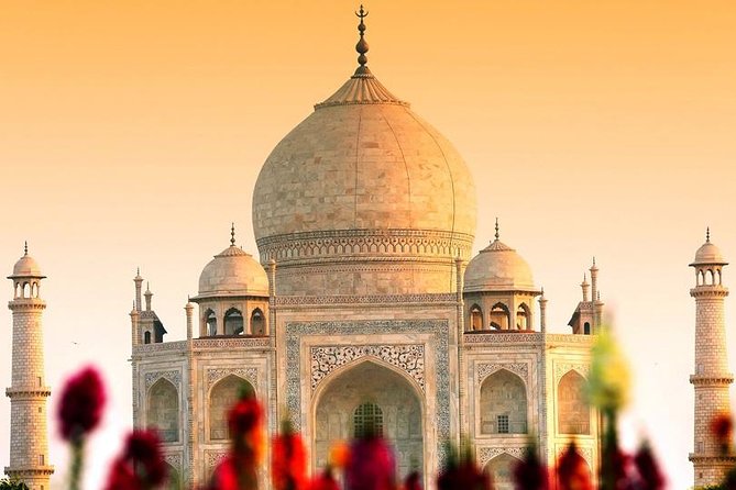 Taj Mahal Sunrise and Agra Fort Tour From Delhi By Private Car - Customer Reviews