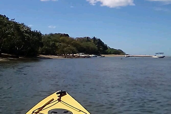 Tamarindo Mangrove Forest National Park Kayaking - Guided Tours