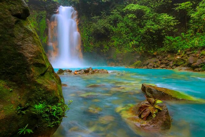 Tamarindo Rio Celeste Tubing, Rainforest, and More Tour - Private Guided Experience