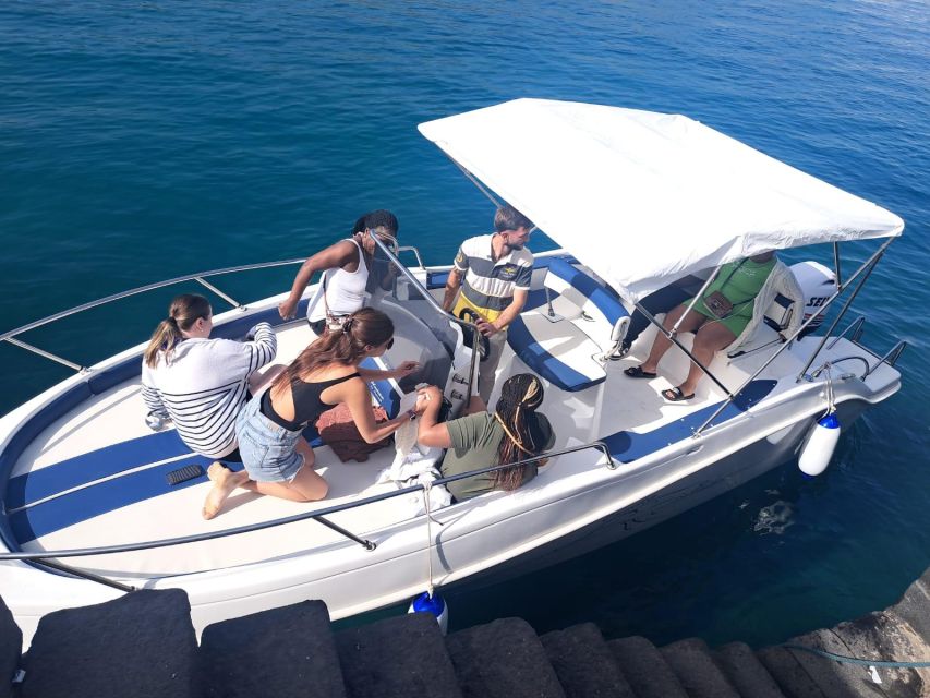 Taormina Dolphin Tour - Tour Experience