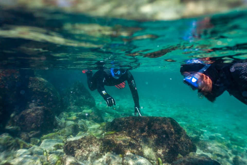 Tarifa: Guided Snorkel Tour in the Strait Natural Park - Highlights