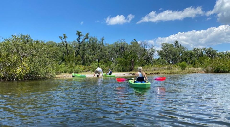 Tarpon Springs: Guided Anclote River Kayaking Tour - Experience Highlights