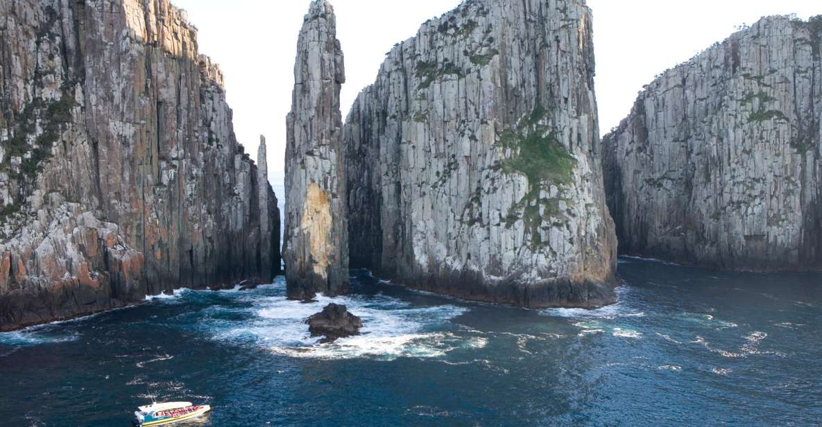 Tasman Peninsula Day Trip With Cruise & Devils From Hobart - Pricing Details