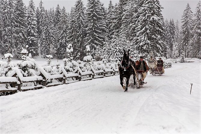 Tatra Mountain Sleigh Ride in Zakopane From Kraków - Inclusions and Exclusions