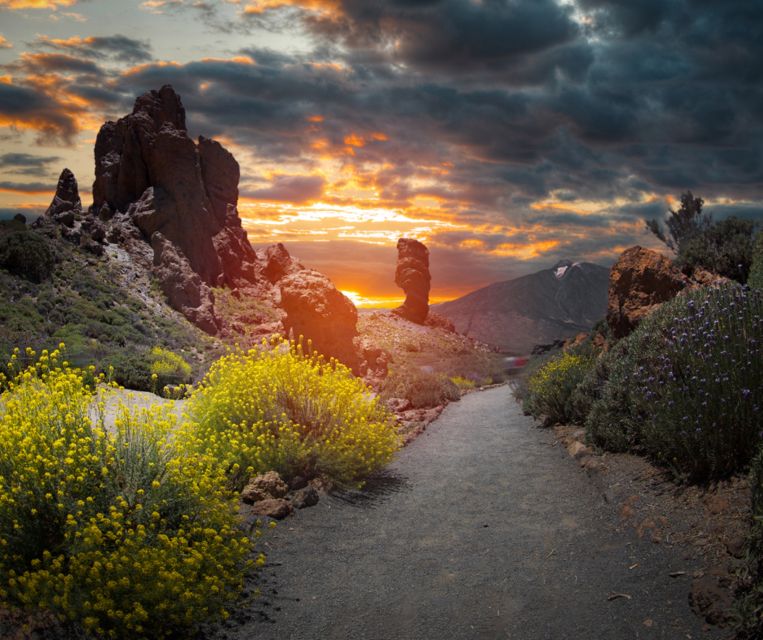 Teide National Park: Landscapes and Viewpoints Private Tour - Review of Tour Experience