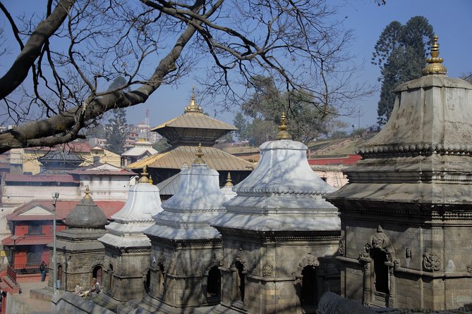 Temples and Stupas Tour in Kathmandu Valley - Inclusions and Services