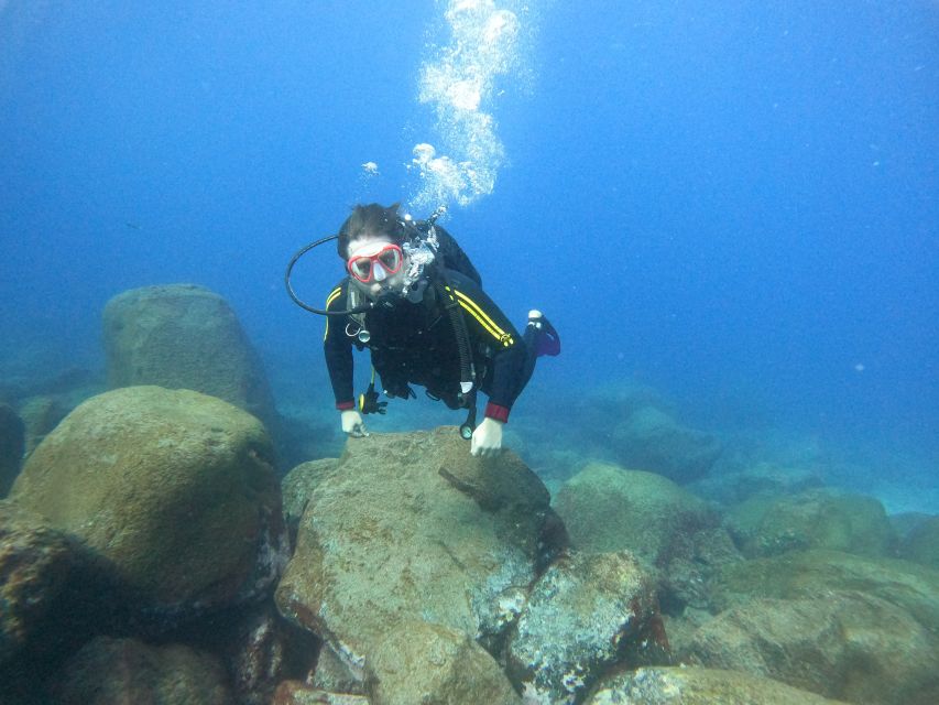 Tenerife: Beginners Scuba Dive in Puerto Colon Turtle Area - Safety Measures and Equipment Provided