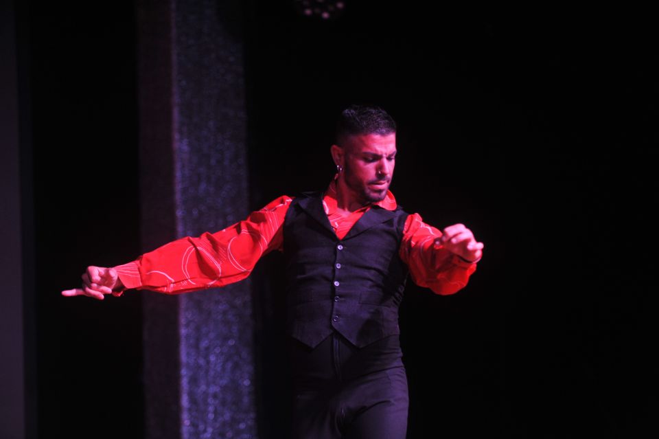 Tenerife: Flamenco Performance at Teatro Coliseo - Experience Highlights