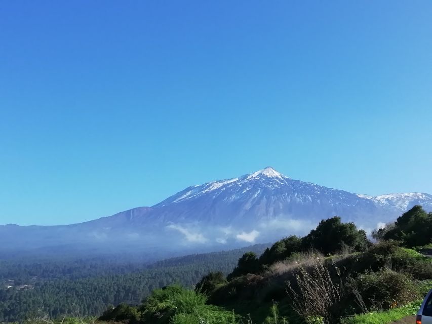 Tenerife: Guided Horseback Riding Tour to the Lomo Forest - Location Details