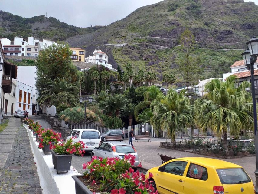 Tenerife: Guided VIP Group Tour - Customer Reviews