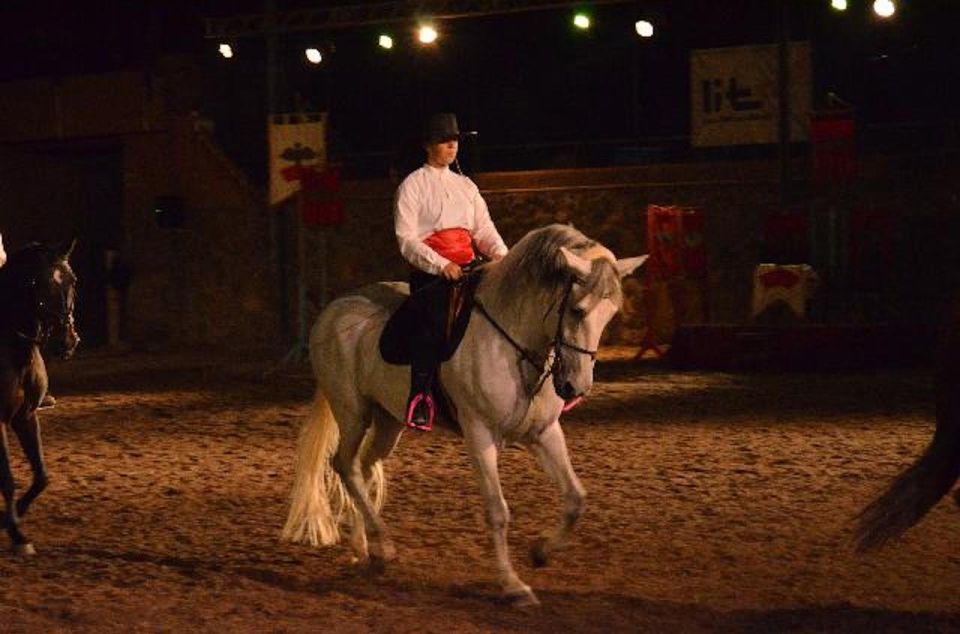 Tenerife : Horse Show Entry Ticket With Optional Dinner - Rating and Description