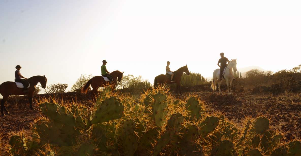 Tenerife: Horseback Ride With Instructor - Experience Highlights