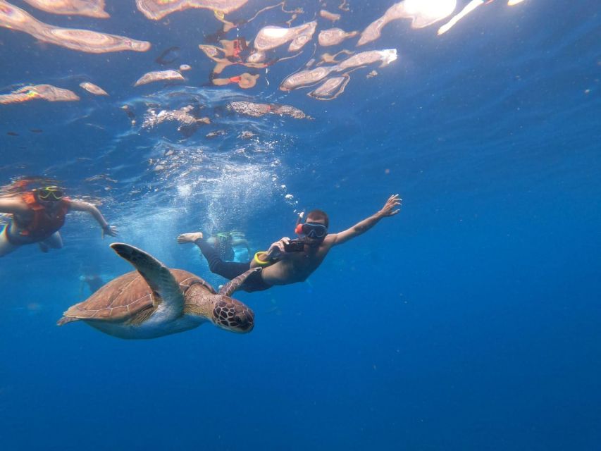 Tenerife: Kayak Safari With Snorkeling, All Inclusive - Booking Options and Itinerary Details