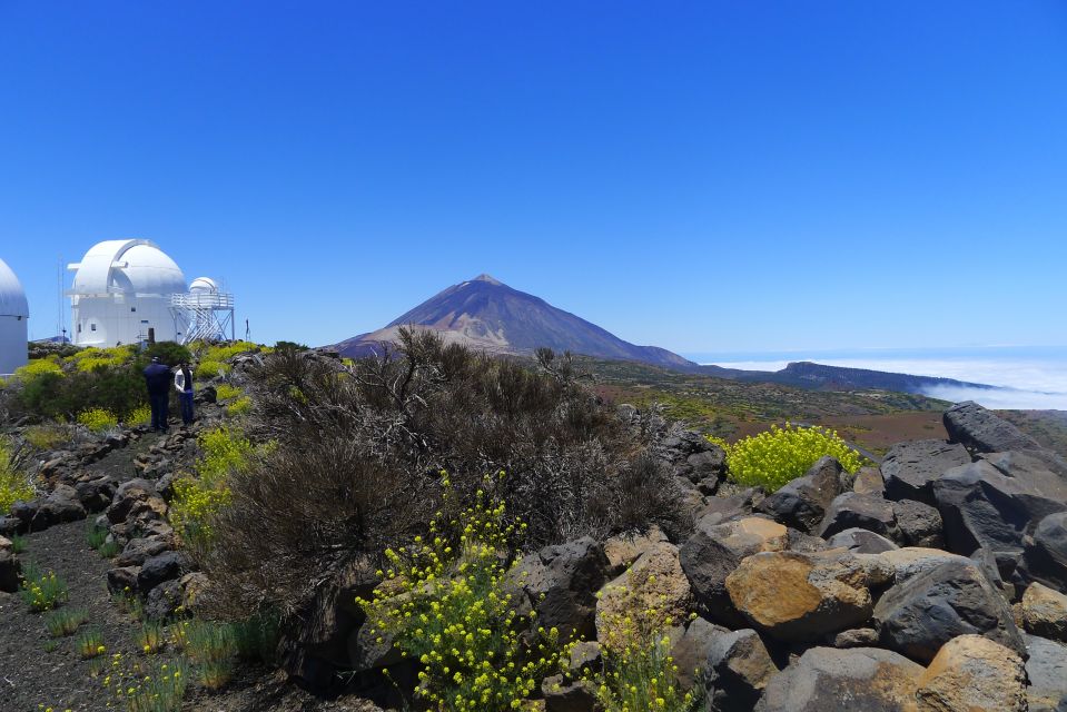 Tenerife: Mount Teide Observatory Astronomical Tour - Experience Highlights