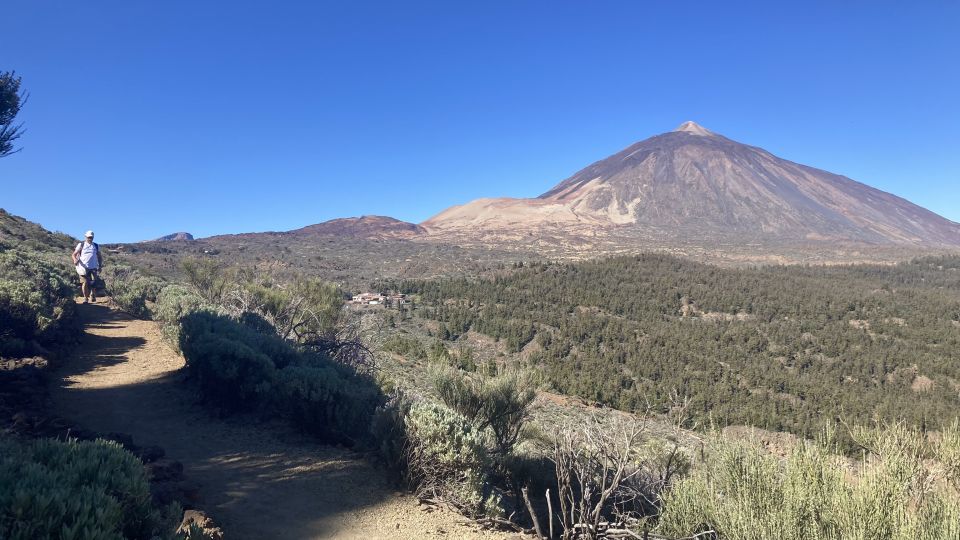 Tenerife: Private Guided Mindful Hike Teide With Transport - Highlights