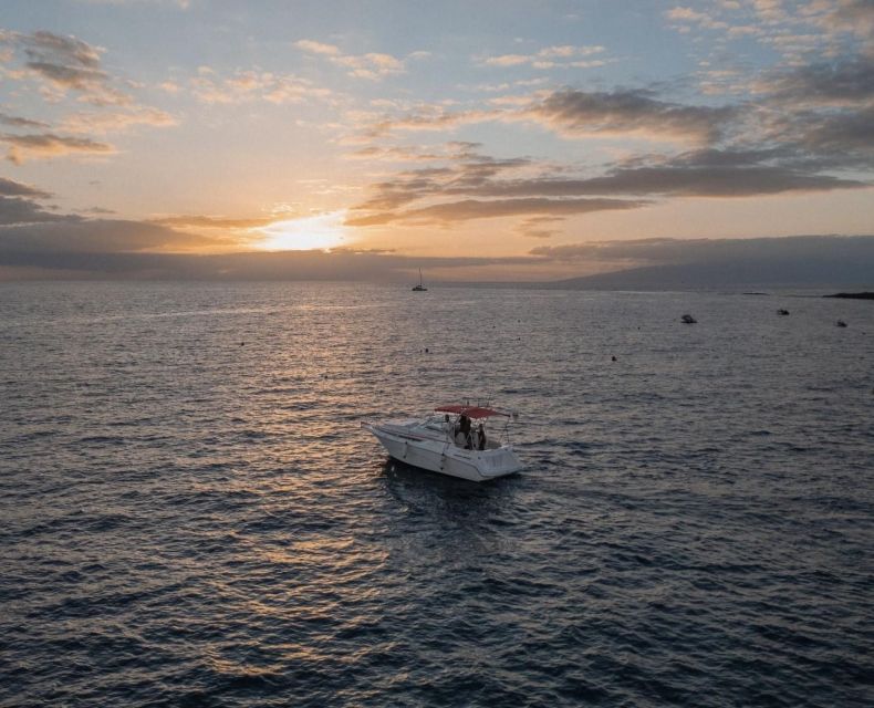 Tenerife: Private Luxury Sunset Boat Experience - Experience