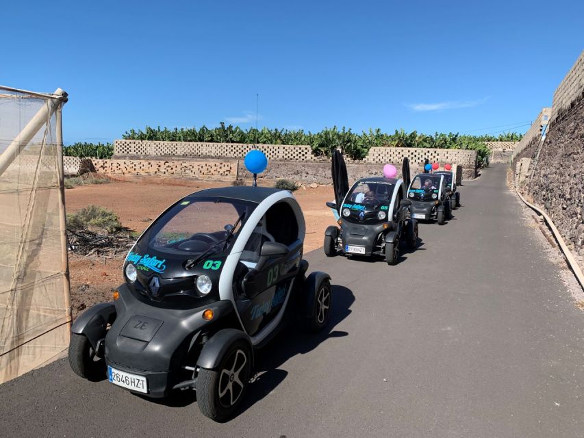 Tenerife: Private Renault Twizy Tour - Tour Inclusions