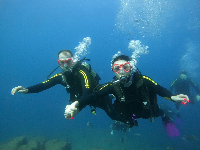 Tenerife: Puerto Colon Discover Scuba Diving Trip - Activity Description