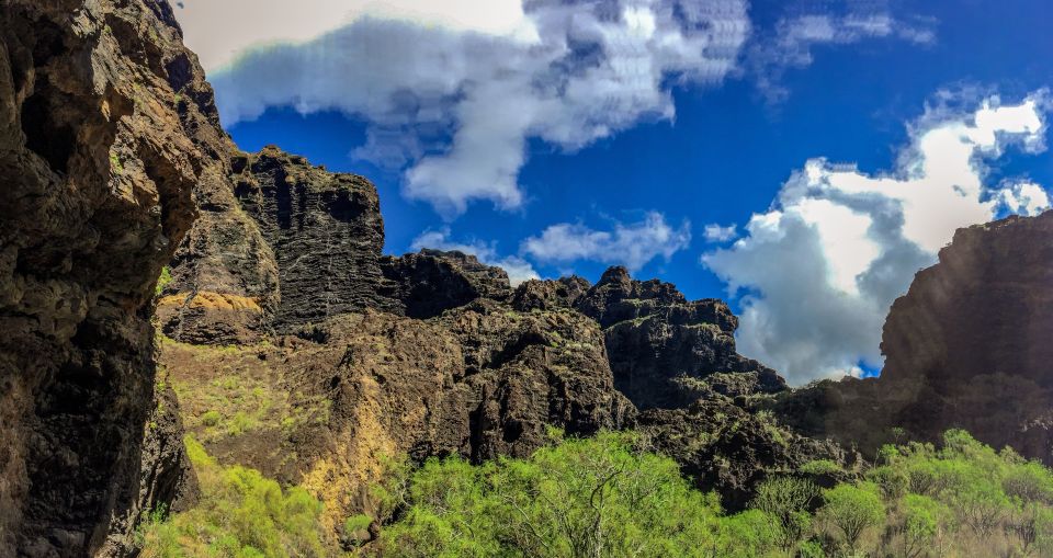 Tenerife: Teide National Park & Teno Rural Park Private Tour - Tour Highlights