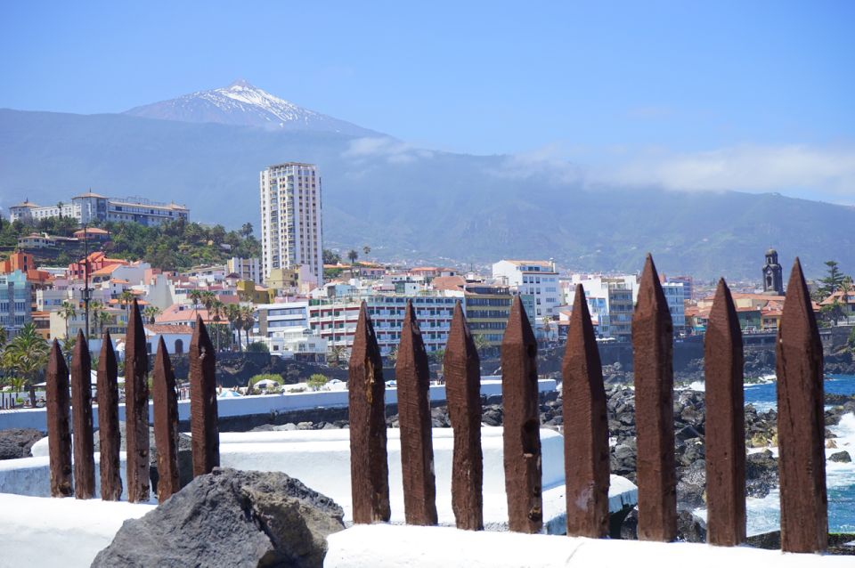 Tenerife: Trip to Puerto De La Cruz - Customer Reviews