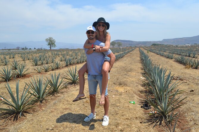 Tequila and Amatitan Cave Experience in Tequila With Lunch  - Guadalajara - Culinary Experience and Traditional Music