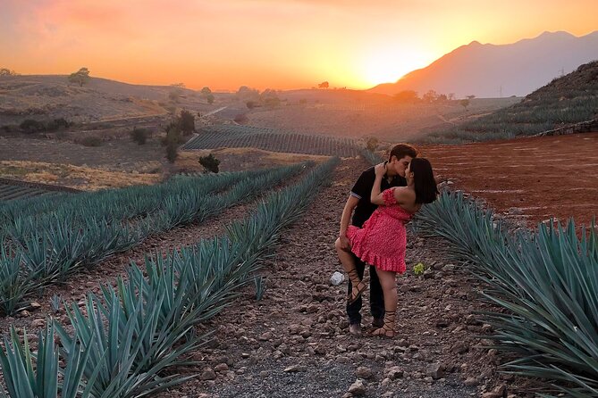 Tequila Tour With Tasting. - Tequila Tasting Experience