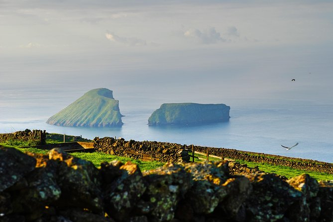 Terceira Island Best Viewpoints: Half Day Tour - Pico Da Memória Viewpoint