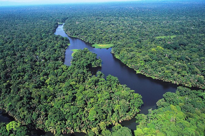 The Authentic Tortuguero National Park One Day Tour - Early Morning Departure