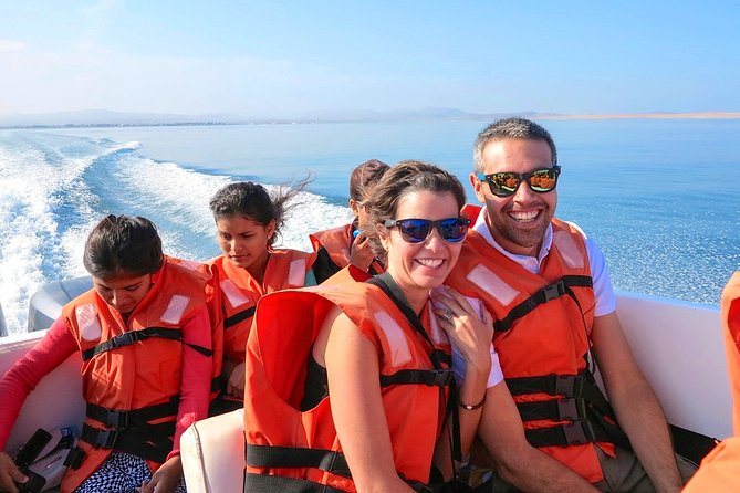 The Ballestas Islands Tour & Paracas National Reserve - From Lima - Itinerary