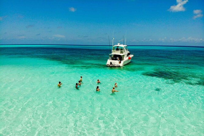 The Best Cozumel Snorkeling Tour Palancar, Colombia and El Cielo Reefs - Pricing Details
