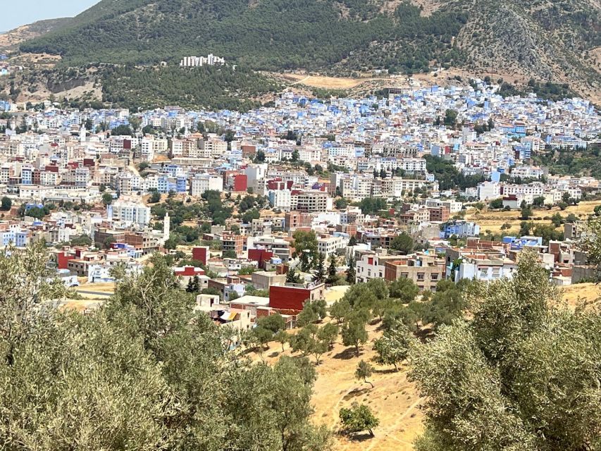 The Blue Magic Marvel: Fez to Chefchaouen Day Tour" - Highlights