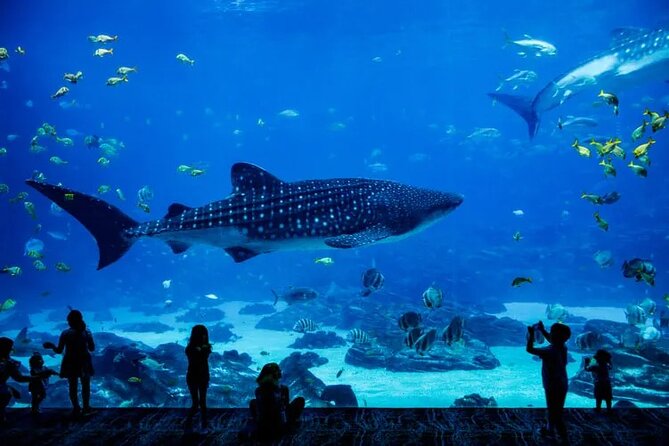 The National Aquarium Abu Dhabi Ticket - Additional Information for Visitors