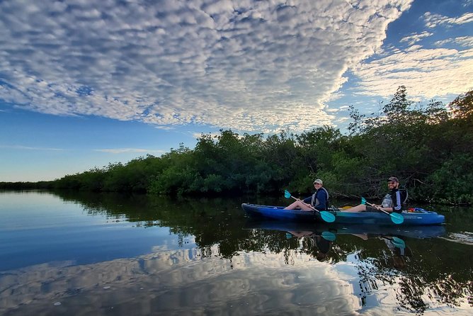 Thousand Islands Mangrove Tunnel Kayak Tour With Cocoa Kayaking! - Guide Expertise