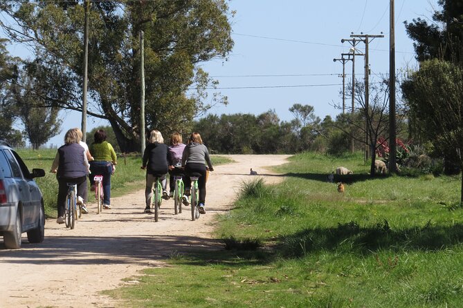 Thousand Rumbos Bike Tourism - Expert Guides