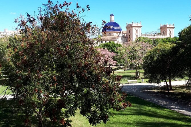 Three Parks of Valencia Private Bike Tour - Albufera Natural Park Visit