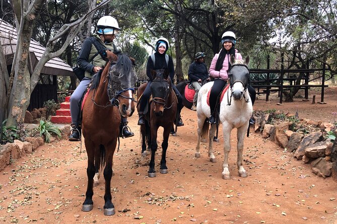 Thrilling Joburg Horseback Safari & Sky-High Cable Car Adventure - Pricing Details