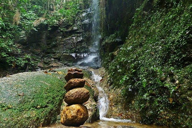 Tijuca Forest Hiking Tour Including Waterfalls - Booking Information