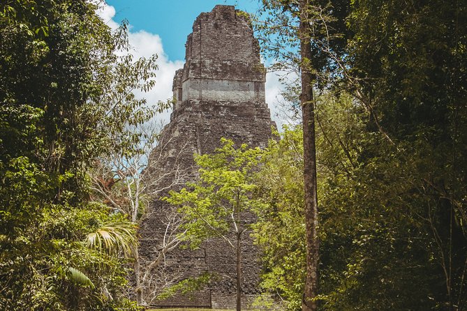 Tikal National Park Full-Day Guided Tour From Flores - Booking and Confirmation